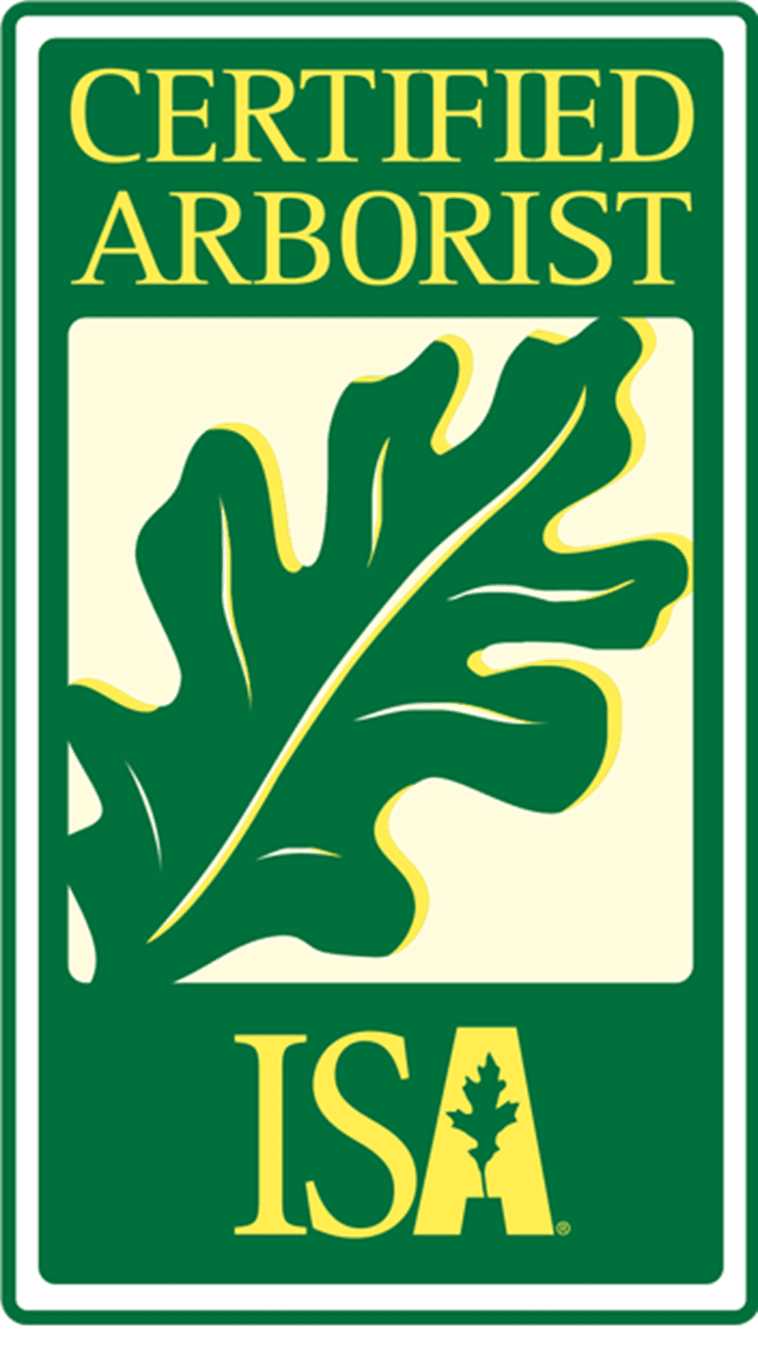 Certified Arborist ICA-400